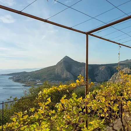 Pikolo Omis *