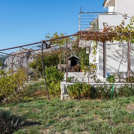 Pikolo Omis